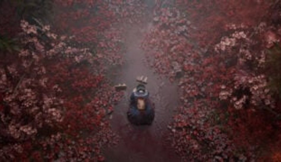 Silent Hill f